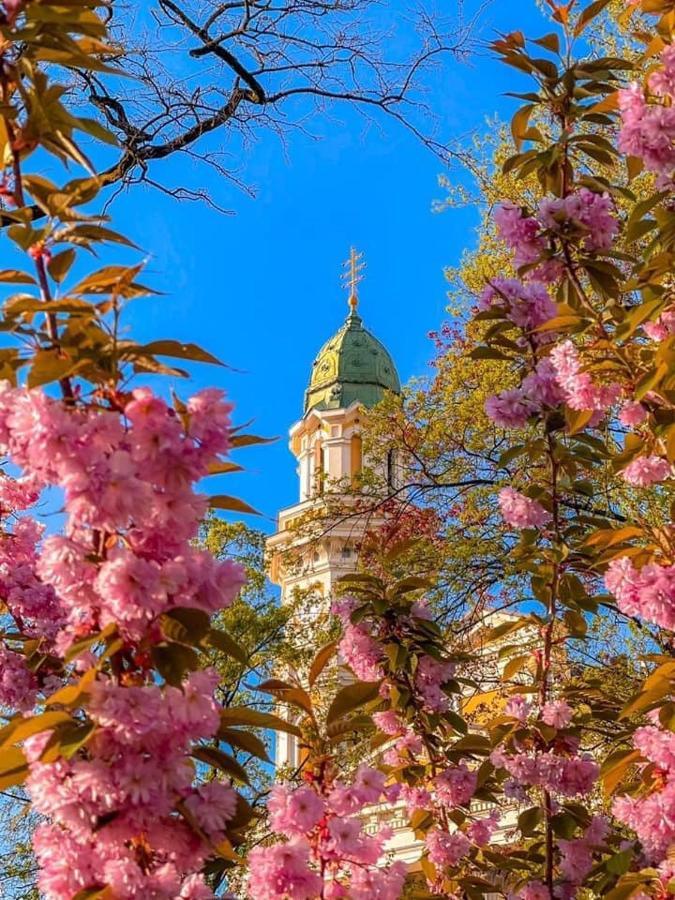 Старовинні Апартаменти У Центрі Міста Užhorod Exteriér fotografie